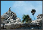 043 Tulum